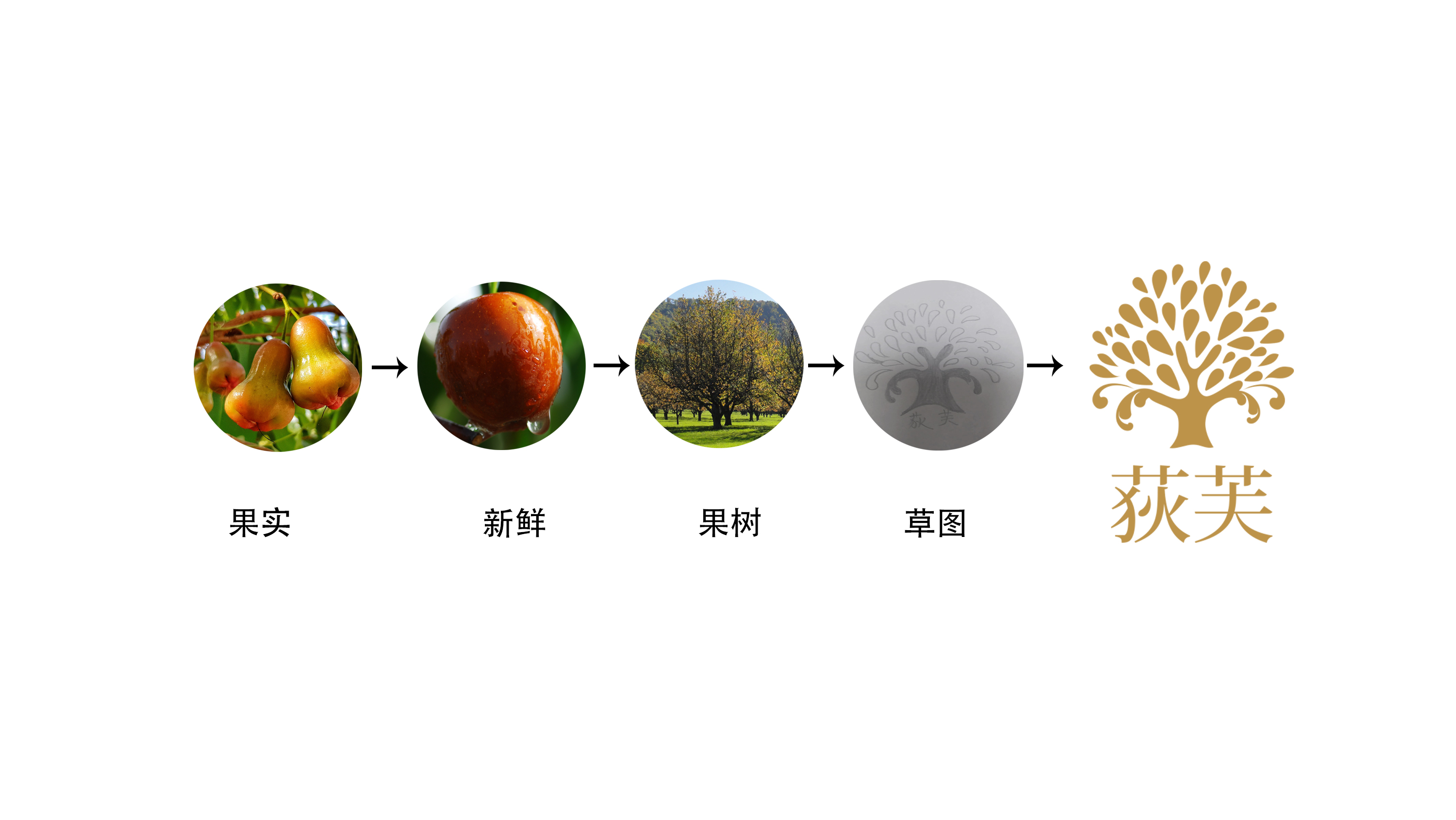 品牌標(biāo)志設(shè)計